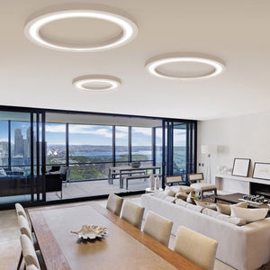 contemporary ceiling light