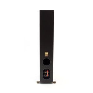 tower speaker 1