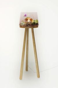 floor-standing lamp / contemporary / oak / glass