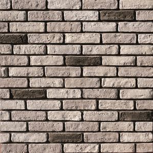 decorative cladding brick / concrete / exterior / interior