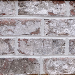 solid brick / for facade / brown / white