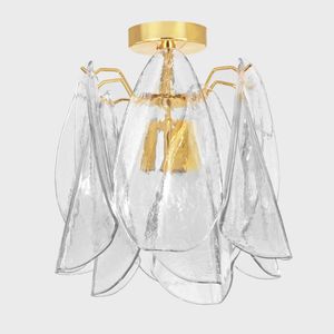 traditional ceiling light
