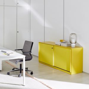 low filing cabinet / wooden / steel / with hinged door