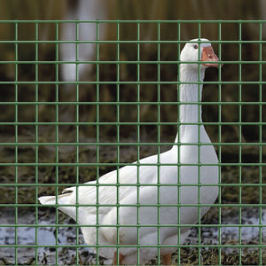 welded mesh fence