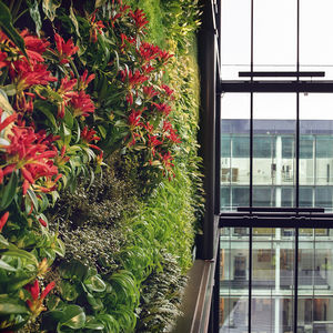 vertical garden with live plants