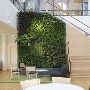 vertical garden with live plants