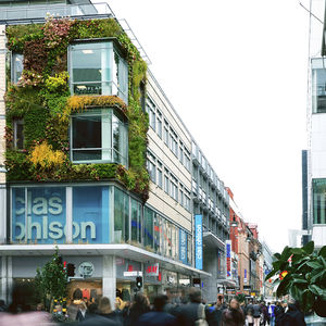 vertical garden with live plants
