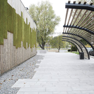vertical garden with live plants