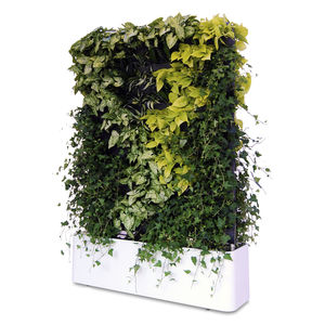 green wall with live plants