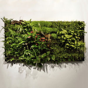 living frame with live plants