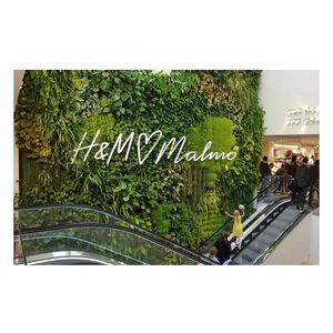vertical garden with live plants