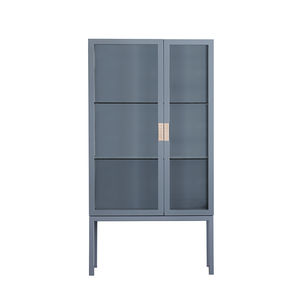 contemporary display cabinet