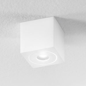 ceiling-mounted spotlight