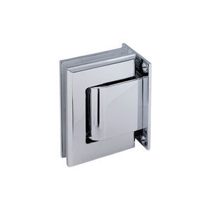 glass door hinge 1