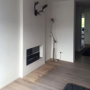 wood-burning fireplace