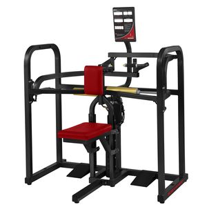back extension weight training machine