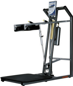 dips weight training machine