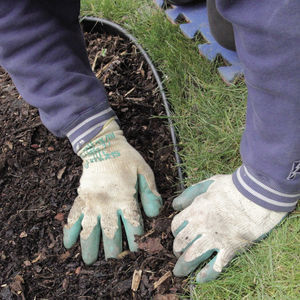 garden edging