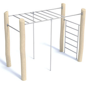 fitness trail monkey bars