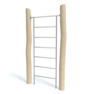 fitness trail ladder