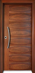 entry door
