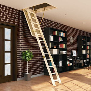 roof hatch ladder