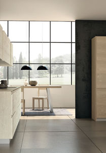 contemporary kitchen