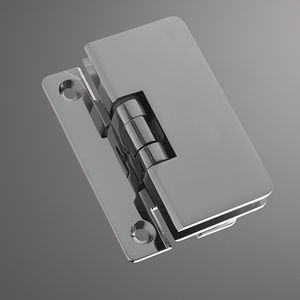 glass door hinge 1