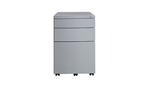 cabinet with casters