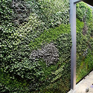 preserved green wall