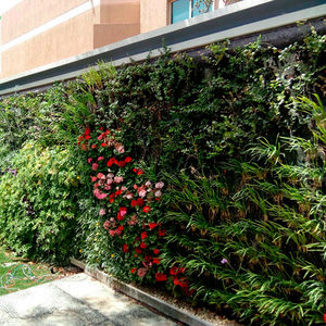 green wall with live plants
