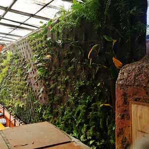 green wall with live plants