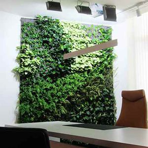 green wall with live plants