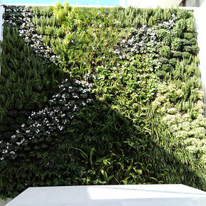 green wall with live plants