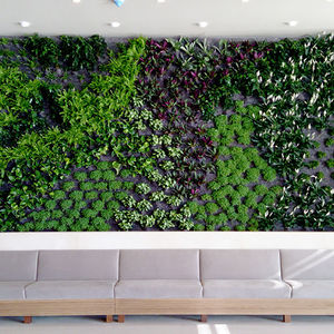 green wall with live plants