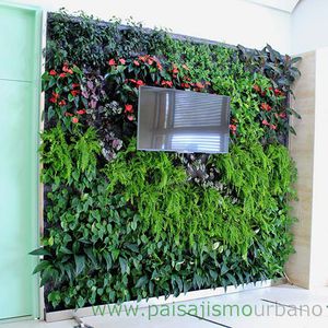 preserved green wall
