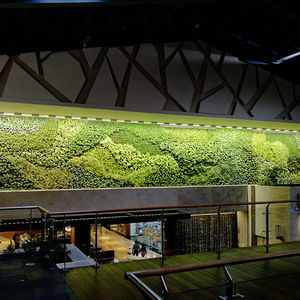 preserved green wall / with live plants / modular-panel / natural