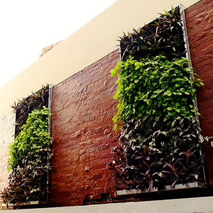 green wall with live plants