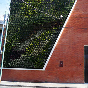 green wall with live plants