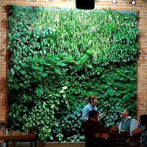 preserved green wall