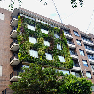 preserved green wall