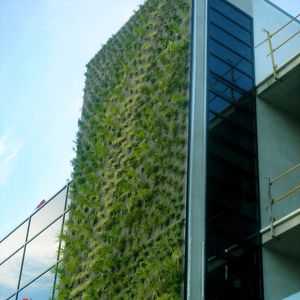 Green wall with live plants - GAIA B3 HOTEL OF BOGOTÁ - Paisajismo ...