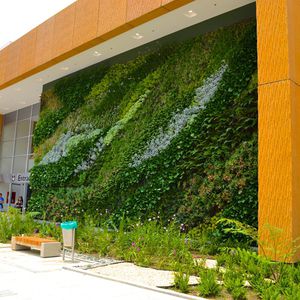 green wall with live plants