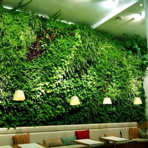 green wall with live plants