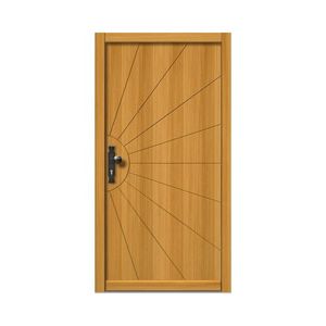 entry door 1