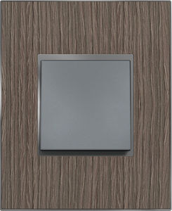 light switch