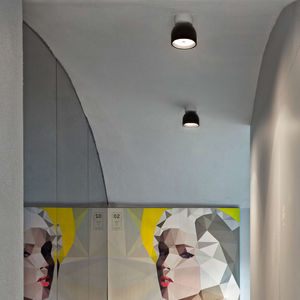 contemporary ceiling light