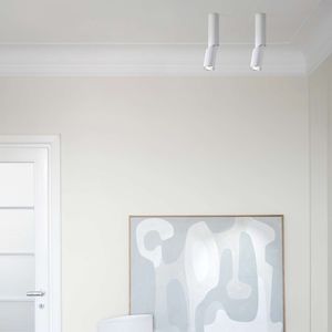 ceiling-mounted spotlight