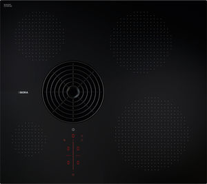 induction cooktop