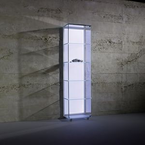 contemporary display case 1